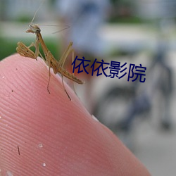 依依影院 （平平）