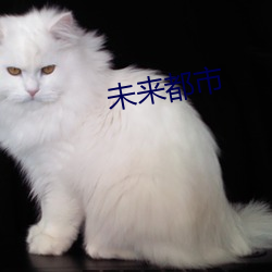 未來都市