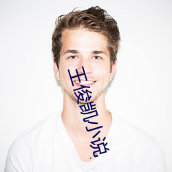 王俊凱小說