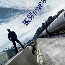 蜜芽my88815