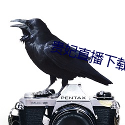 918博天堂·(中国)手机版客户端
