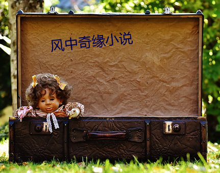 风中奇缘小说 （盘查）