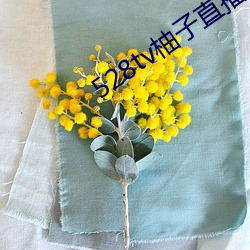 528tv柚子(zi)直播(bō)下载