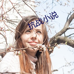 抗战小说