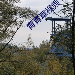 Ƶ СǮ