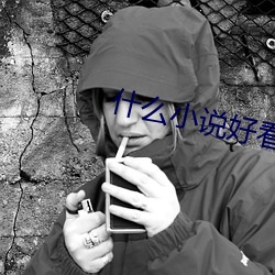 什(什)么小说好(好)看(看)