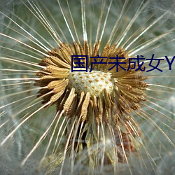 国产未(未)成女YOUNV仙(仙)踪林