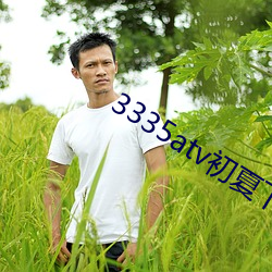 3335atv初夏下載