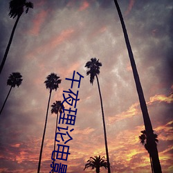 午夜理论电影