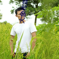 大象傳媒官網