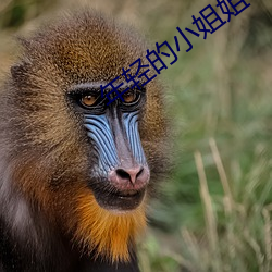 金年会(中国)官方网站