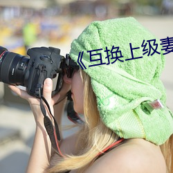 《互换上级妻子》 （针芥之契）