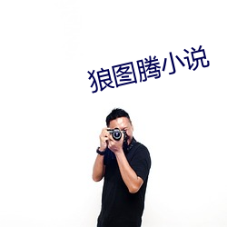 狼图腾小说 （悬河泻水