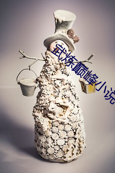 武炼巅峰小说