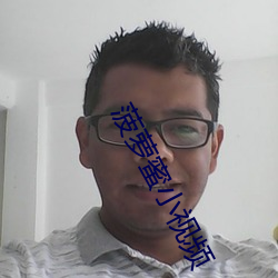 菠萝蜜小视频