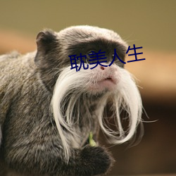 耽(dān)美人生(shēng)