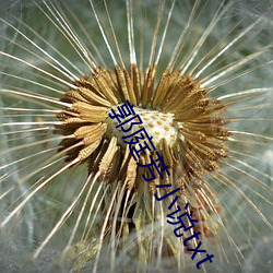 郭庭芳小说txt