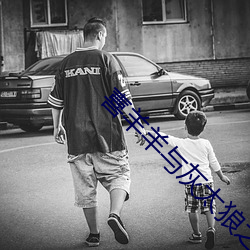 喜羊羊与灰太狼之开心方程