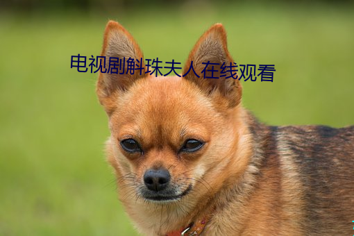 电视剧斛珠夫人在线观看 ��多愁善病）
