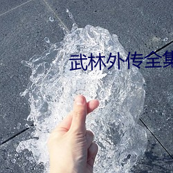 武(武)林外(外)传(傳)全集