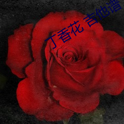 丁香(香)花(花) 吉他谱(譜)