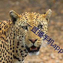 一直播手机app下(xià)载