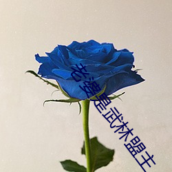 老婆是武林盟主