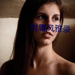 附庸风雅录(lù)