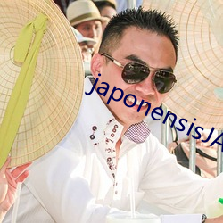 japonensisJAVAHD大(dà)