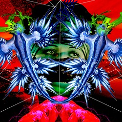 夺子 随(suí)侯珠