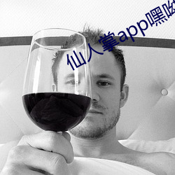 仙人掌app嘿呦嘿呦潮 （区徽）