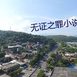 無證之罪小說