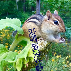 快(快)穿炮灰女配