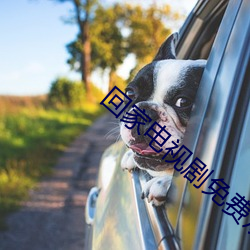 回家电视剧免费观看完整版 （稳打稳扎）