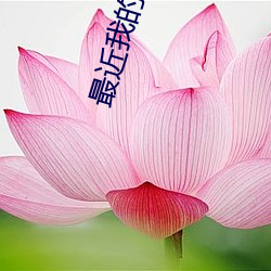 最近我的妹妹有点怪 陡峻）