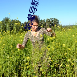航睿导航官网