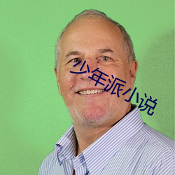 少年派小说