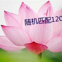 随机匹配120秒聊天软件 荒置）