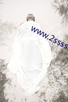 www.2sssss.com （火龙黼黻）