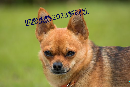 四影虎院2023新网址 （比重）