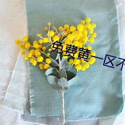 免费黄一区不收费