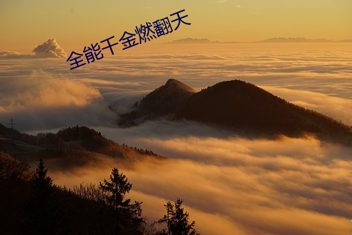 BG大游(中国)唯一官方网站