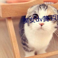 美女dv黄 百度网盘(pn)