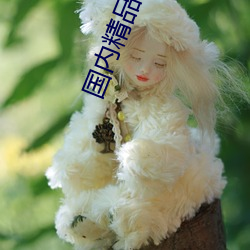 国(國)内(內)精品自柏