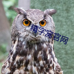 精(精)字(字)窝官网