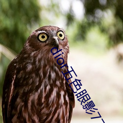 dior五色眼影777