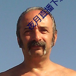 夜(yè)月直播(bō)下载的