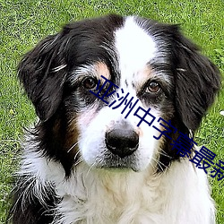 亚洲中字幕最新2021无限