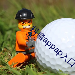 抖音appap入口