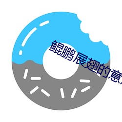 鲲鹏展翅的意思